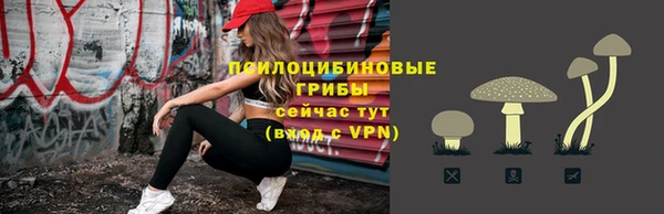 кокс Магас