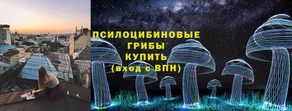 ECSTASY Майский