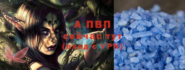 ECSTASY Майский