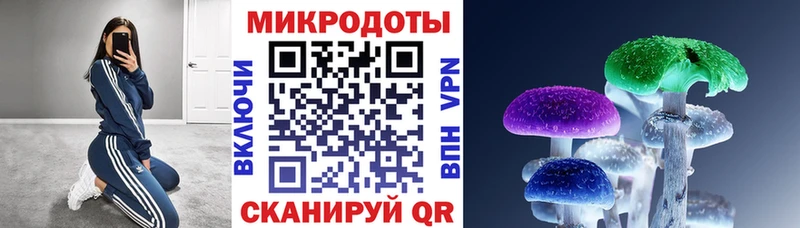 Псилоцибиновые грибы MAGIC MUSHROOMS  Наволоки 